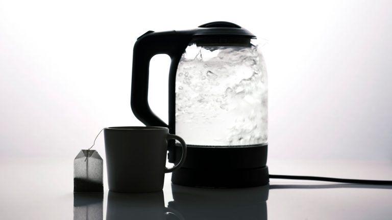 Théière électrique avec infuseur : les températures idéales pour révéler vos thés