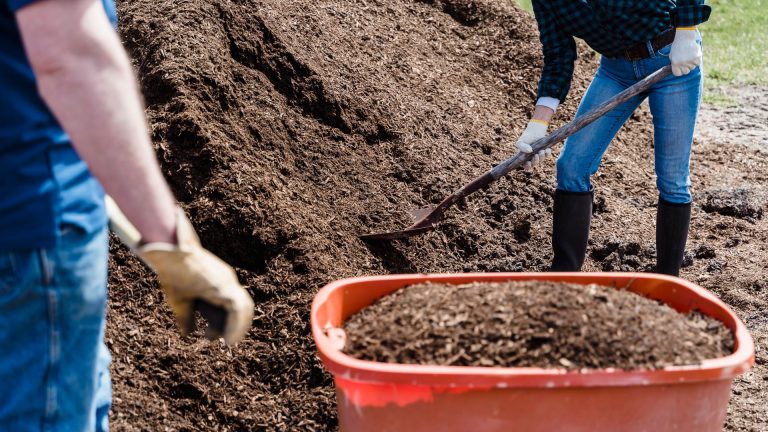 Guide complet pour se lancer dans le terrassement de son jardin
